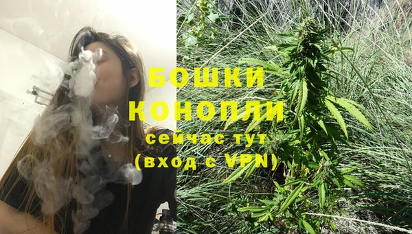 ГАЛЛЮЦИНОГЕННЫЕ ГРИБЫ Лиски